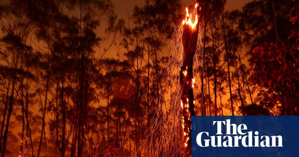 World’s climate plans fall drastically short of action needed, analysis shows | Cop30