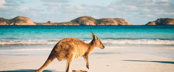 Australia Hits Milestone as Renewables Overtake Fossil Fuels