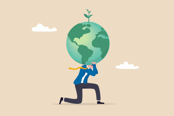 Eight Fashion Brands Pledge to Cut Forest Sourcing From Supply Chains