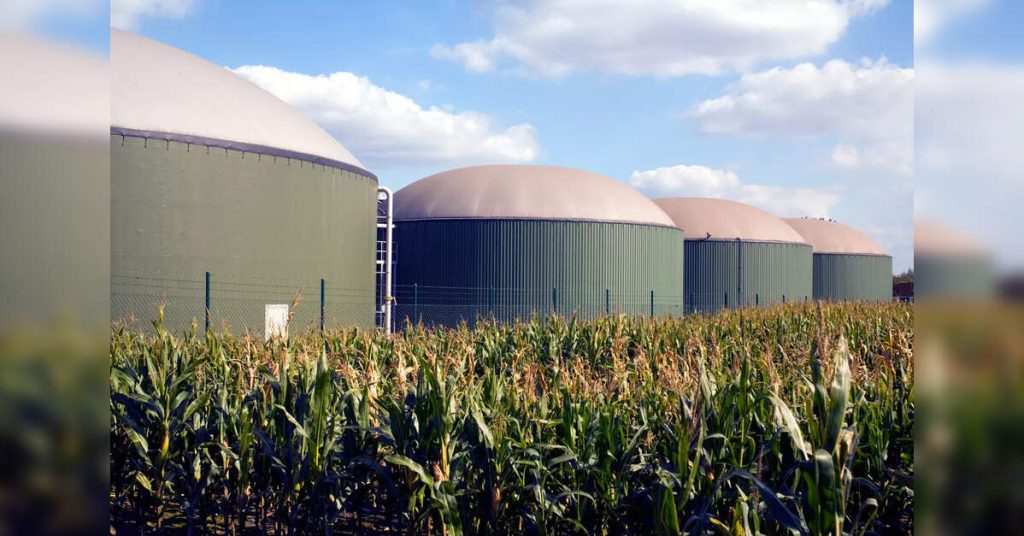 Biogas sector expected to see ₹5,000 cr investment in 2026-27: IBA, ETEnergyworld