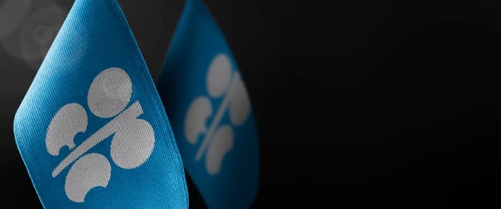 OPEC+ To Consider Oil Output Hike By 137,000 bpd For April