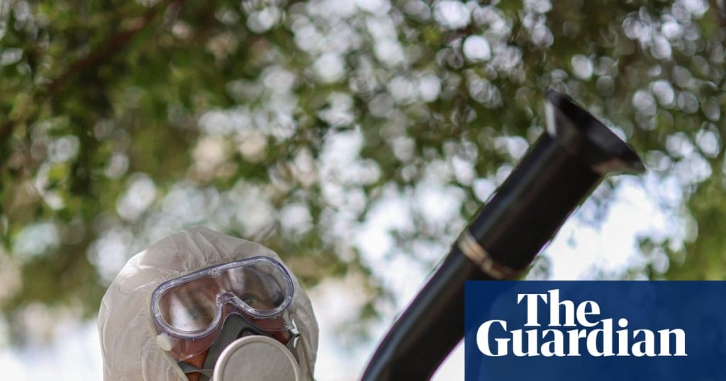 Excruciating tropical disease can now be transmitted in most of Europe, study finds | Infectious diseases