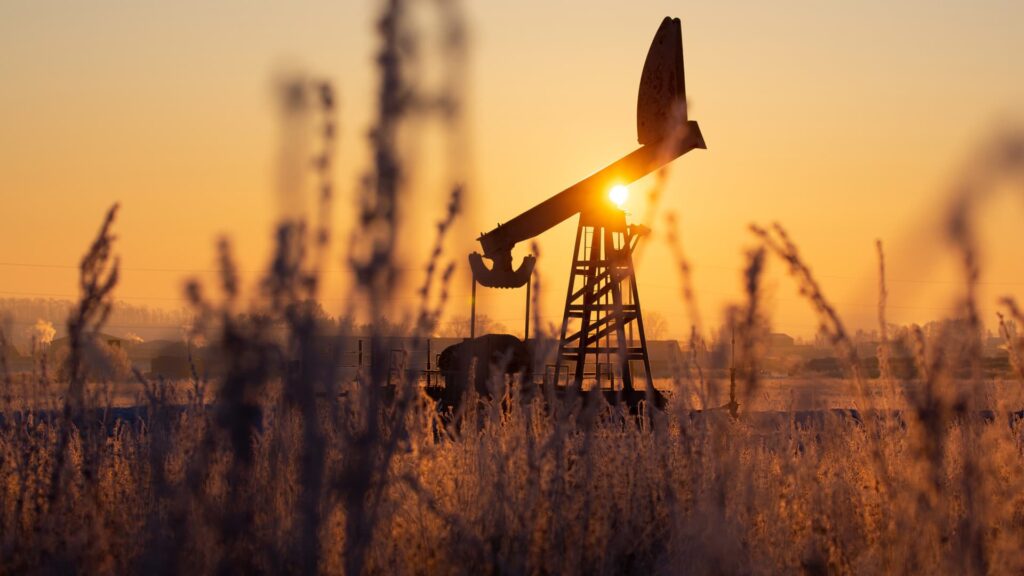 Oil meme trade? Crude drawing record retail money