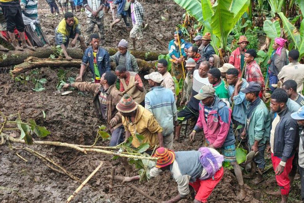 80 bodies recovered after landslides in southern Ethiopia